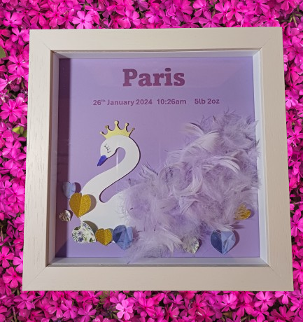 Swan theme gift, princess theme gift, new baby gift