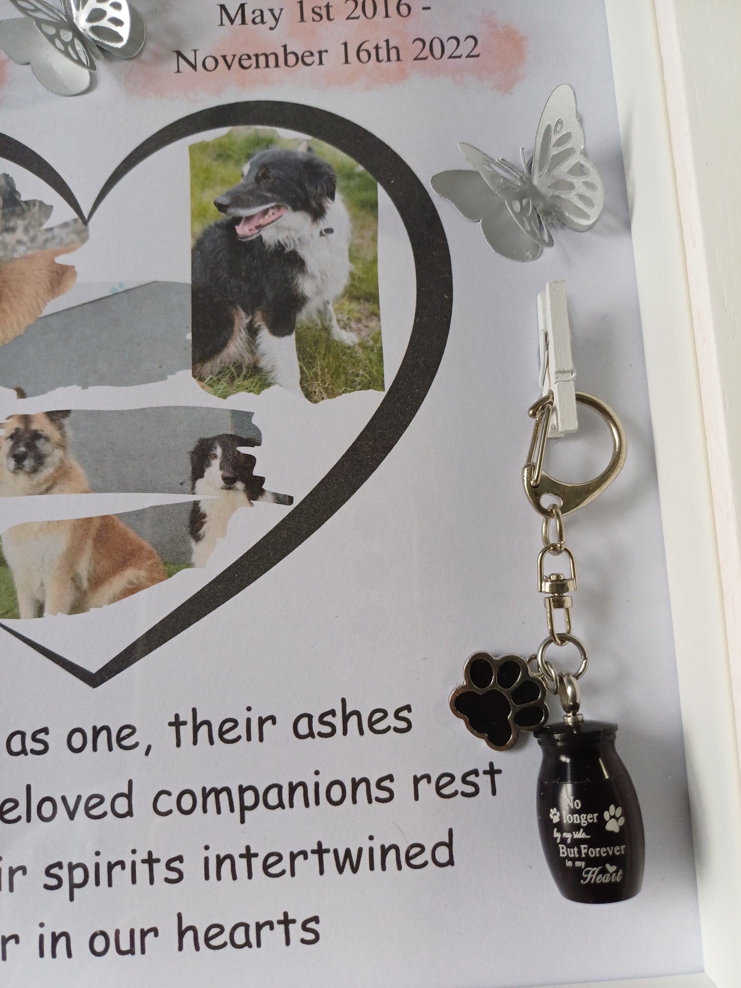 Pet Memory Shadow Box Ashes