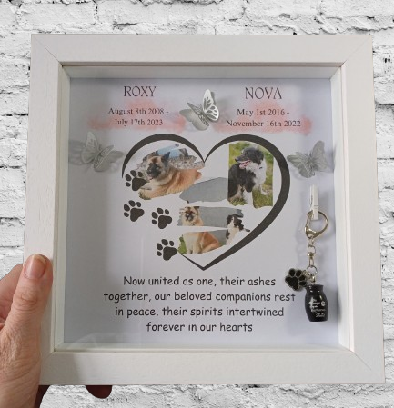 Pet Memory Shadow Box Ashes