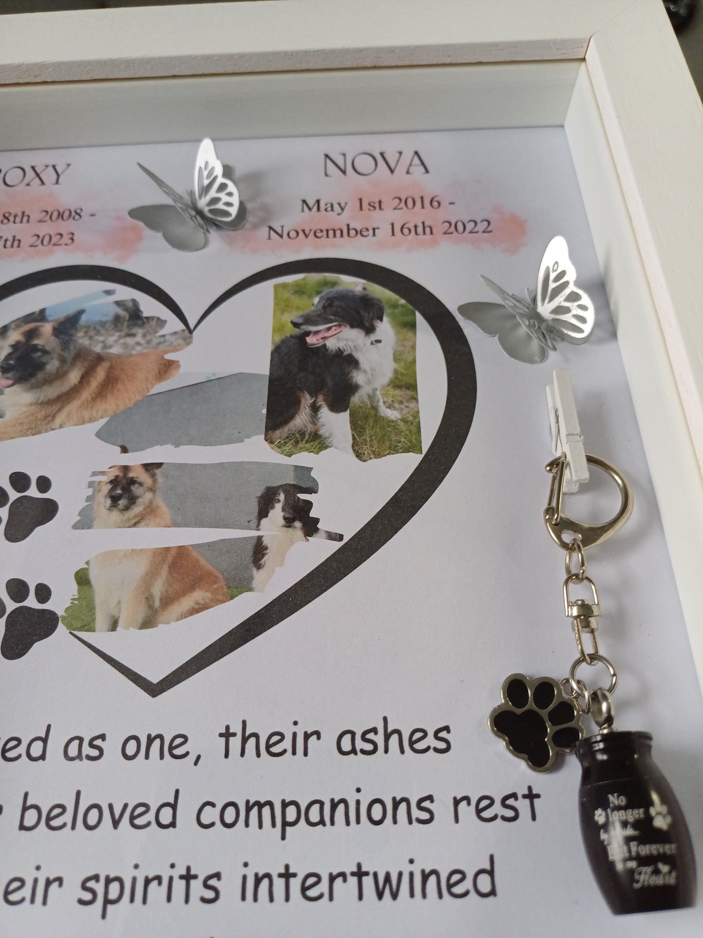 Pet Memory Shadow Box Ashes