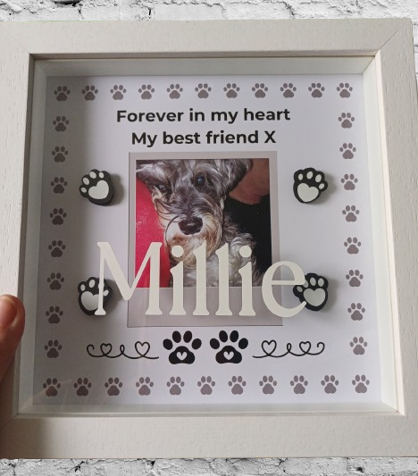 Pet Memory Shadow Box Paw Prints