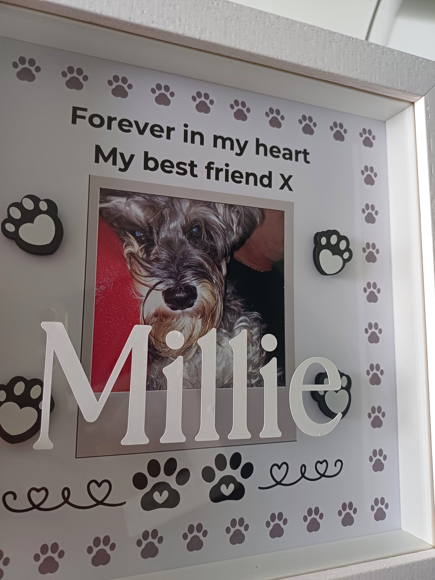 Pet Memory Shadow Box Paw Prints