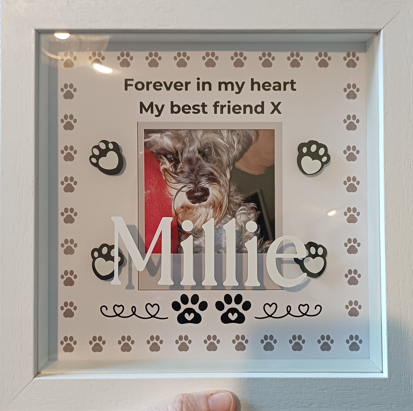 Pet Memory Shadow Box Paw Prints