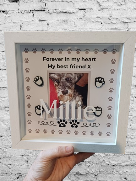 Pet Memory Shadow Box Paw Prints