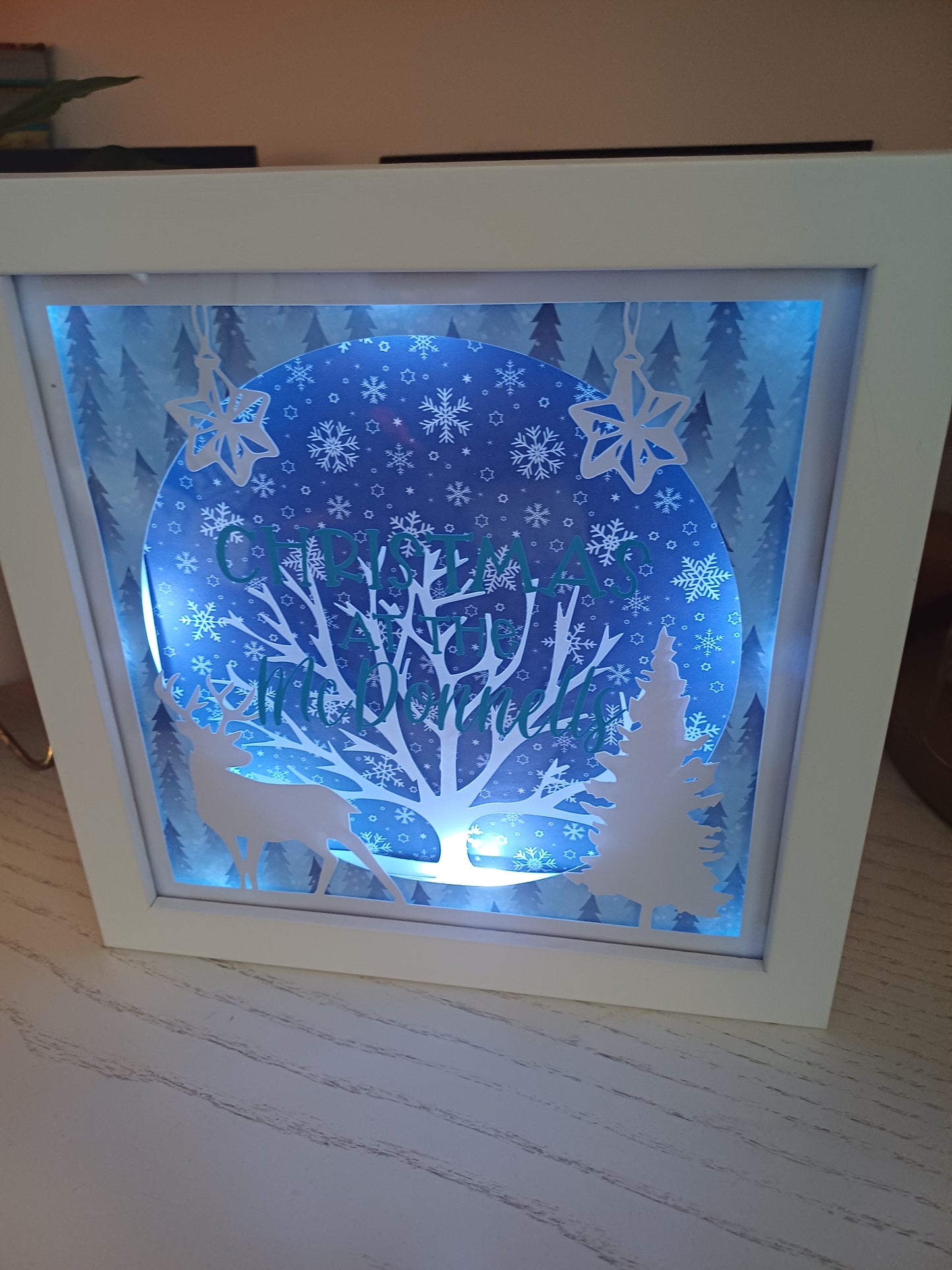 Christmas Shadow Box Snowflake